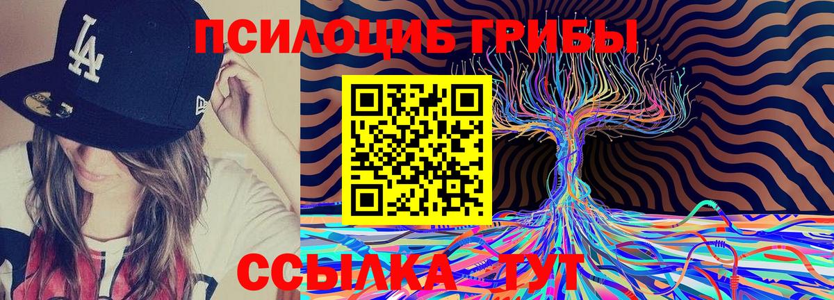 Галлюциногенные грибы Cubensis  Вход с VPN  Галлюциногенные грибы мицелий  Мелеуз 